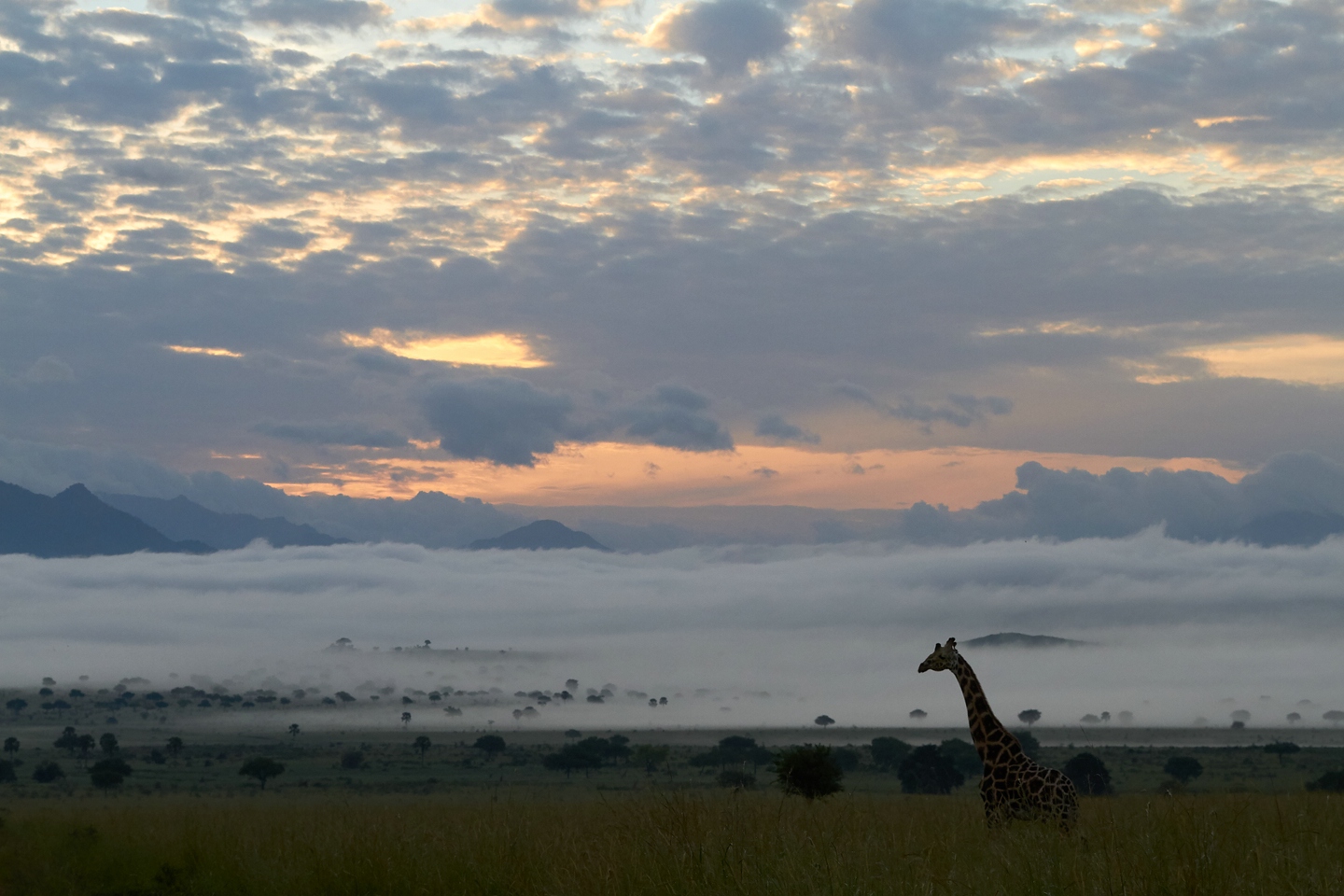 Kidepo Valley NP